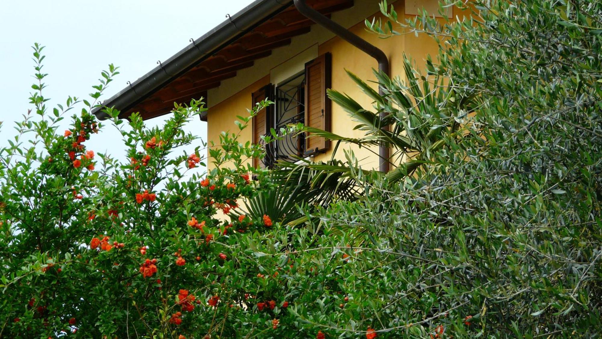 Albergo Le Piante Manerba del Garda Exterior foto